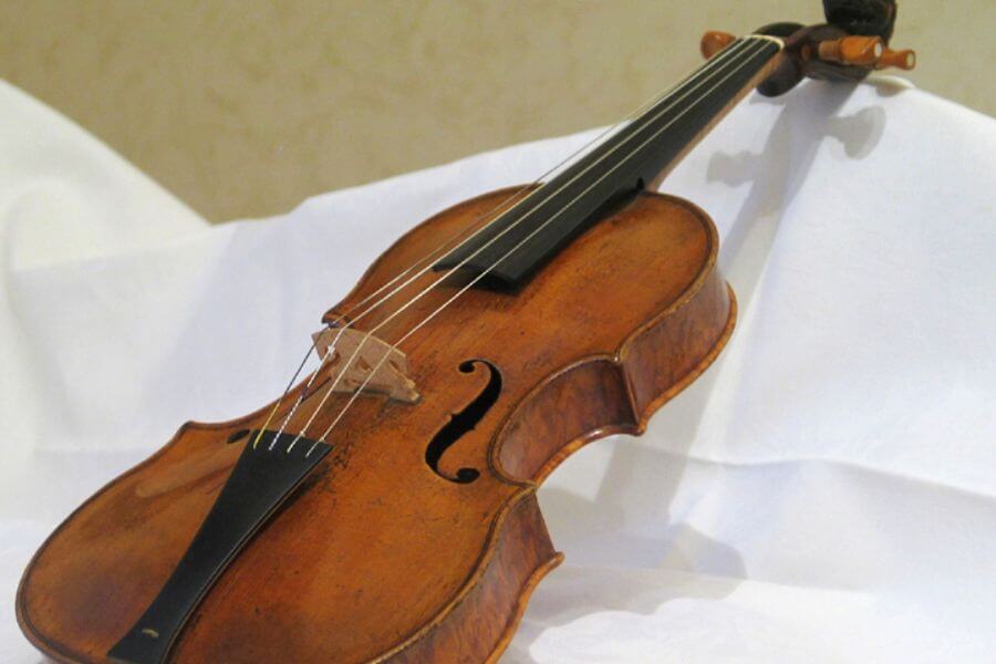 violin