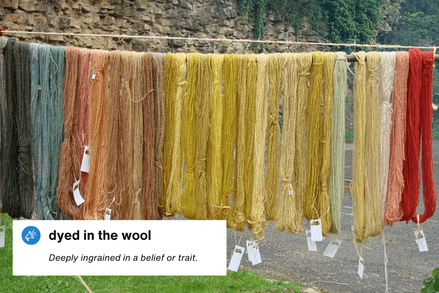 Skeins of wool in various colors, ranging from deep blues and reds to earthy yellows and browns, hang on a drying line outdoors. Each bundle has a tag attached, likely indicating the type of dye used. A text overlay in the bottom left corner reads: "Dyed in the wool – Deeply ingrained in a belief or trait."