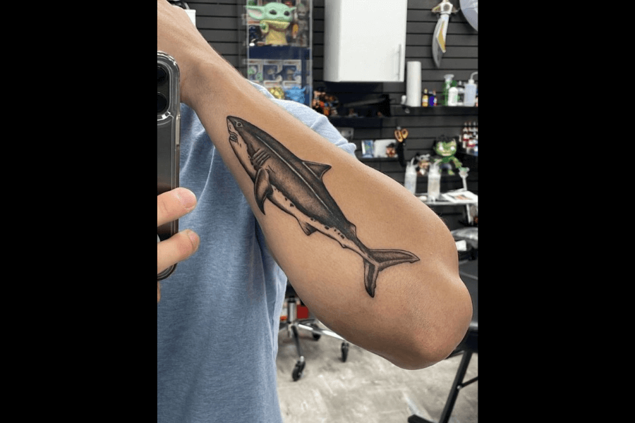Here’s the alt text for this image:
A tattoo of a detailed shark, depicted in motion with lifelike shading and texture, placed on the outer forearm. The design captures the sleek body and powerful fins of the shark, creating a dynamic and realistic appearance. The background shows a tattoo studio setting with various supplies and decorations visible.