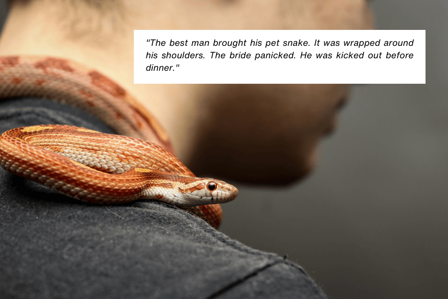 A close-up of a brightly colored snake wrapped around a person’s shoulder, with the person’s face partially visible in the background. A caption narrates how the best man brought his pet snake to the wedding, causing the bride to panic and leading to his removal before dinner.