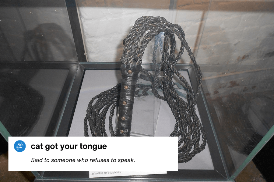 A museum display featuring a historical "cat o' nine tails" whip with a braided handle and multiple knotted lashes, encased in glass. A text overlay in the bottom left corner reads: "Cat got your tongue – Said to someone who refuses to speak."