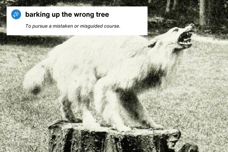 A vintage black-and-white illustration of a snarling dog standing on a tree stump, seemingly barking in the wrong direction. A text overlay in the top left corner reads: "Barking up the wrong tree – To pursue a mistaken or misguided course."