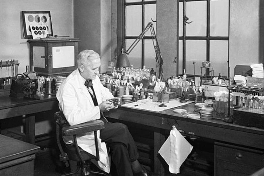 Professor Alexander Fleming at work in his laboratory at St Mary's Hospital, London, during the Second World War.