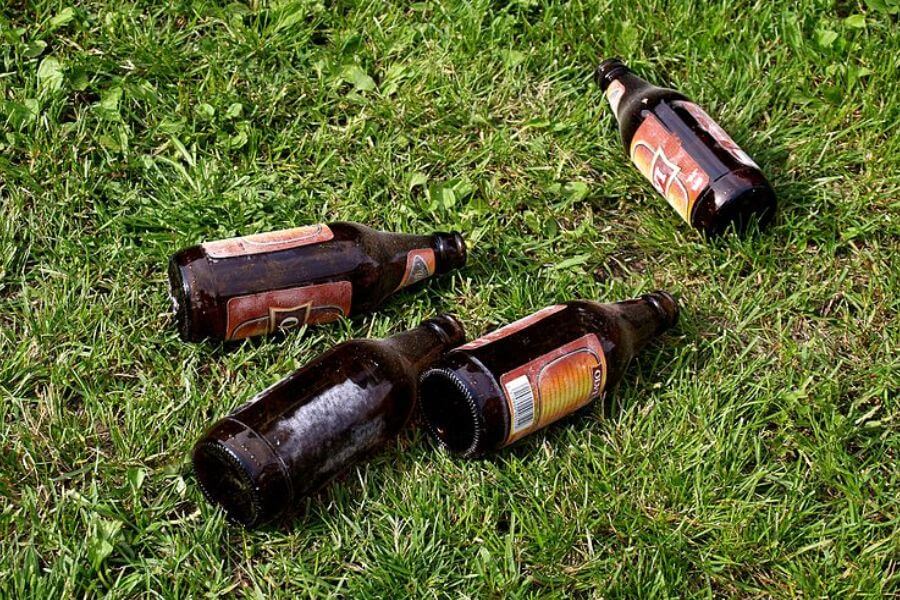 beer bottles on grass