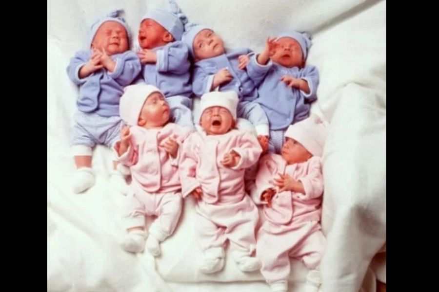 A group of seven newborn babies dressed in pastel-colored outfits, with four in blue and three in pink, lying on a soft white blanket. Some of the babies are crying, while others appear to be looking around or reacting to each other.