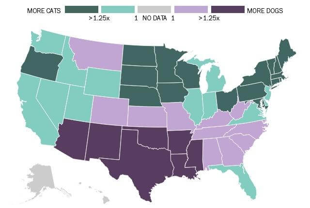 A U.S. map comparing cat and dog ownership by state. Dark green represents states with significantly more cats, dark purple indicates more dogs, and lighter shades show a closer balance or no data