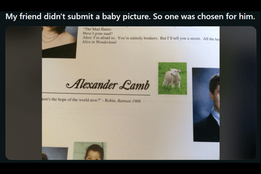 A high school yearbook page for a student named Alexander Lamb. Since he did not submit a baby picture, a humorous replacement was chosen—a photo of a lamb standing in a green field. His senior photo appears to the right, and a quote from Batman (1966) is printed below his name.