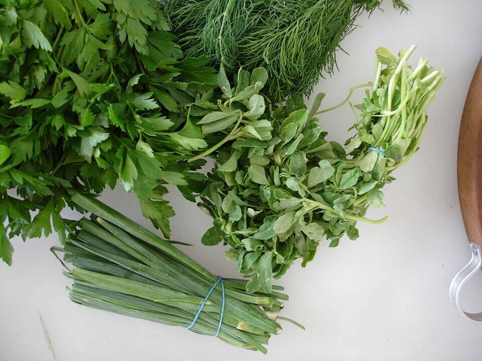 A collection of fresh green herbs, including parsley, dill, scallions, and fenugreek, is laid out on a white surface. Each bundle is tied with a rubber band, showcasing their vibrant colors and leafy textures.





