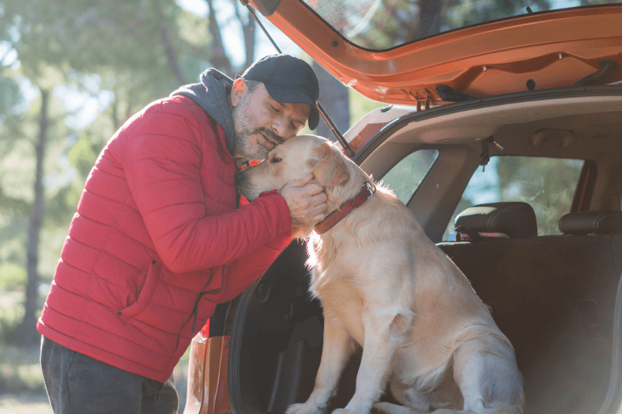 Man in a red jacket and black cap affectionately hugs a golden retriever sitting in the open trunk of an orange SUV. The scene is set in a sunny wooded area, capturing a warm and joyful moment between a pet and its owner.