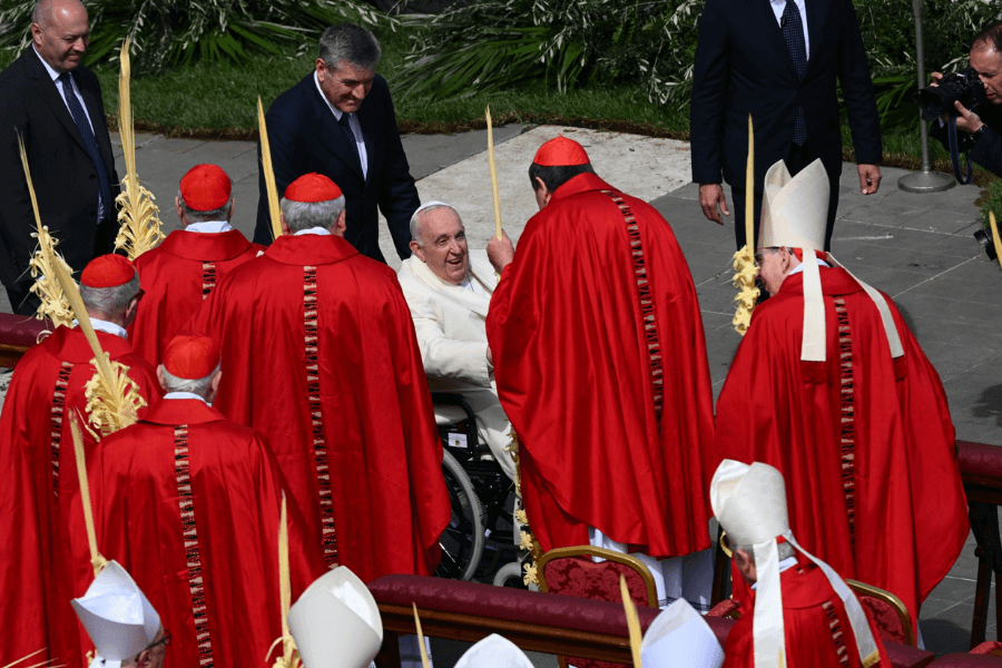 Pope Francis smiles while seated in a wheelchair, surrounded by cardinals and bishops dressed in red liturgical vestments and white mitres, holding decorative palm fronds during a Palm Sunday celebration. The setting appears to be outdoors, with greenery and security personnel in the background.