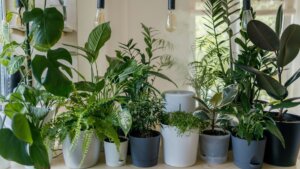 Small green plant in white ceramic pot