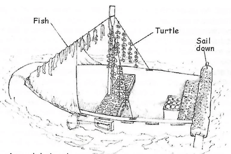Hand-drawn diagram of a small raft with labeled elements showing fish and turtle meat hanging to dry on a suspended line. The sail is down and wrapped around a floatation support, while the raft's deck is lined with containers, likely for storing food or water.