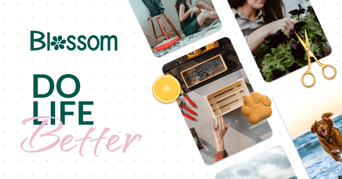 Epic Amazon Deals On Popular Products You Can t Miss Blossom epic-amazon-deals-on-popular-products-you-can-t-miss-blossom