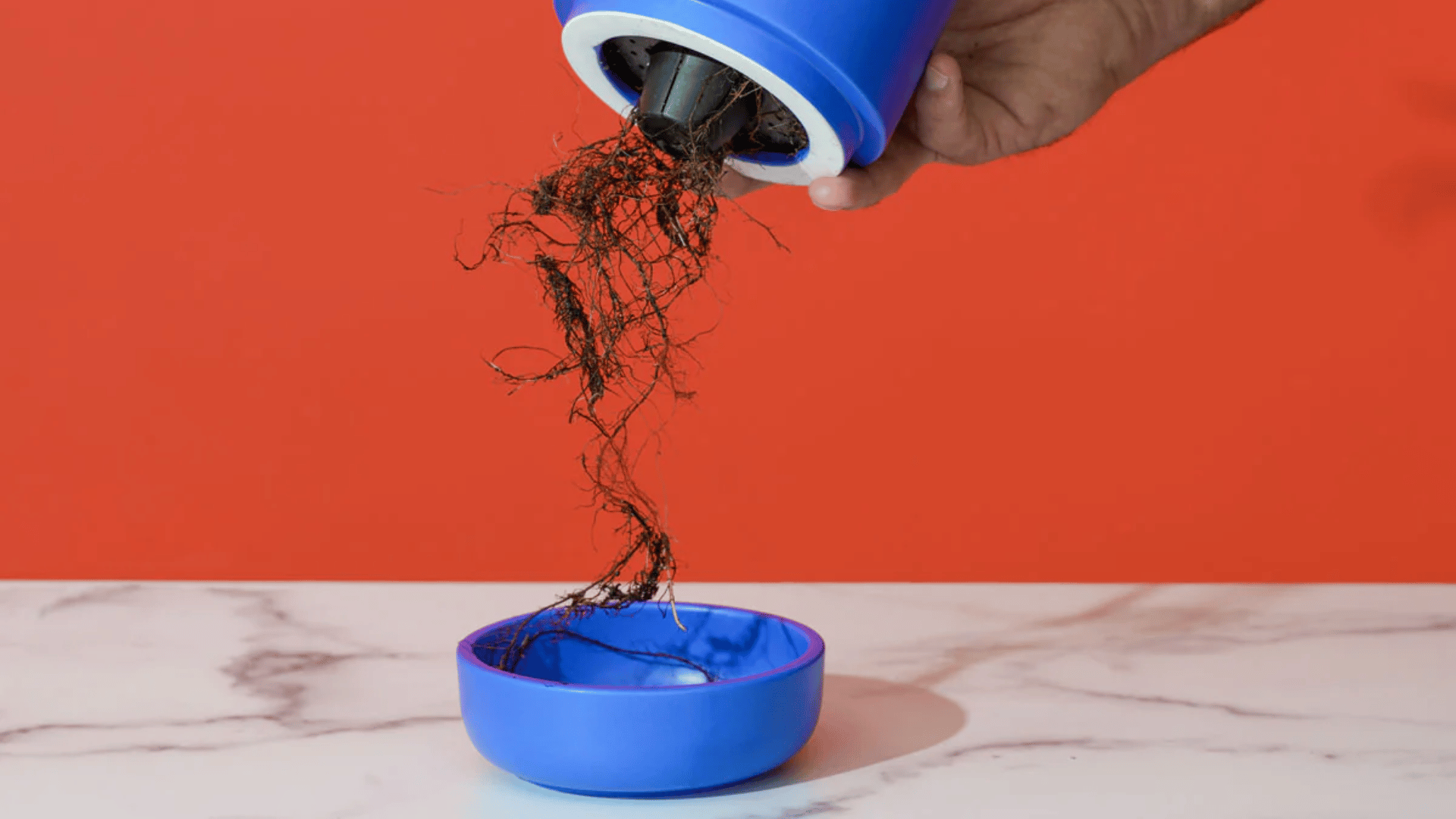Tutorial image showing water-saving self-watering planter system