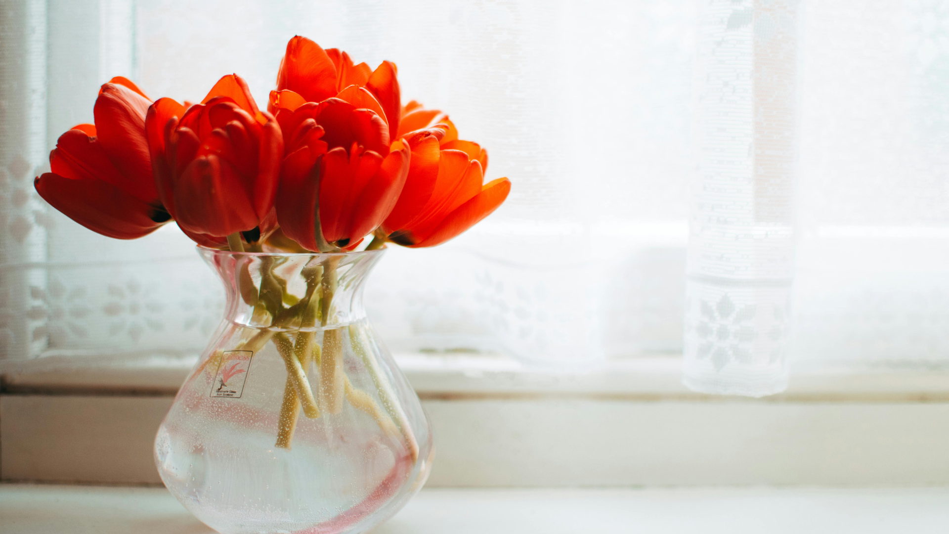 Red tulips in a glass vase centerpiece placed near a white curtain