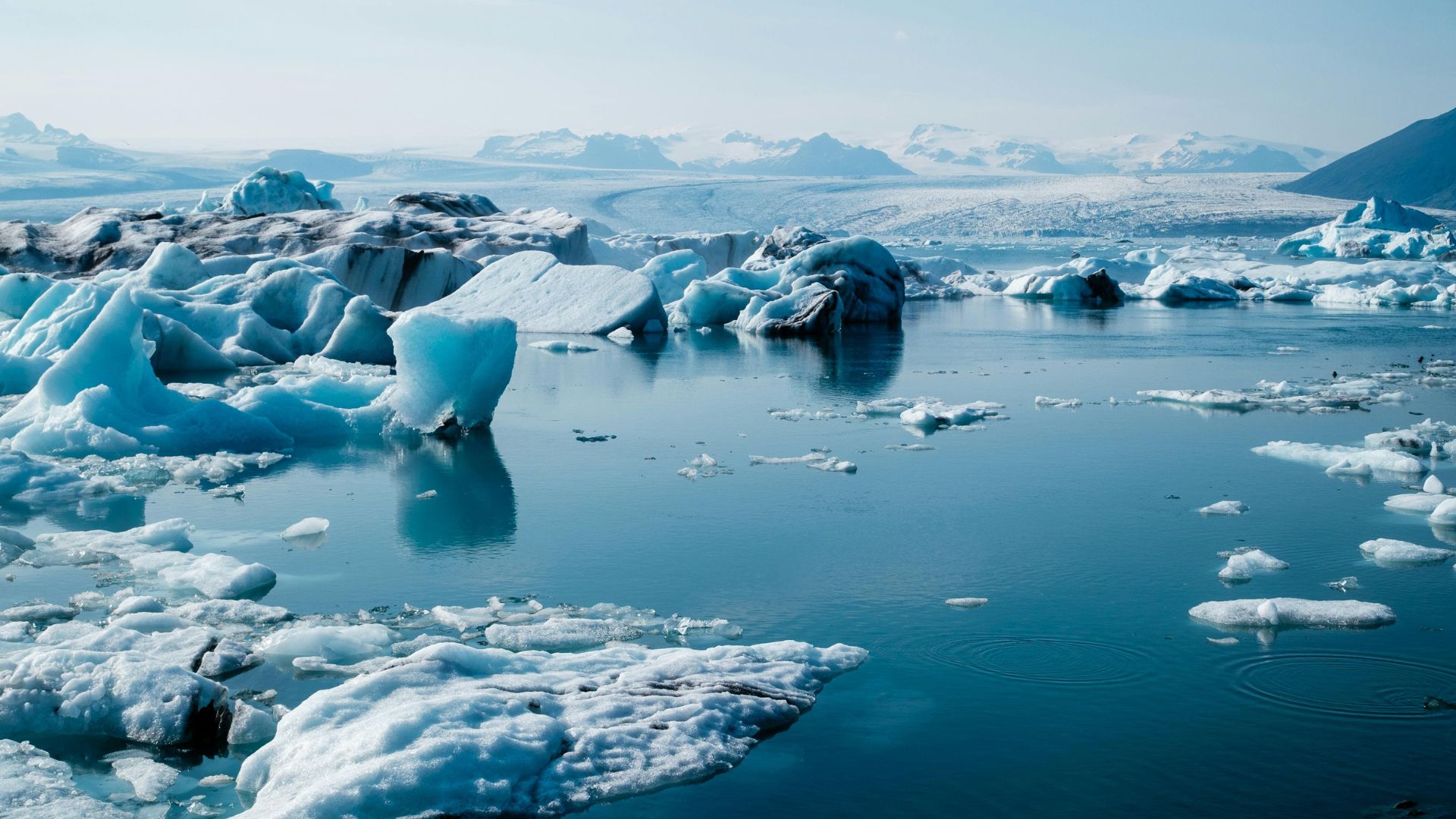 Icebergs melting in Jokulsarlon Glacier Lagoon in Iceland
