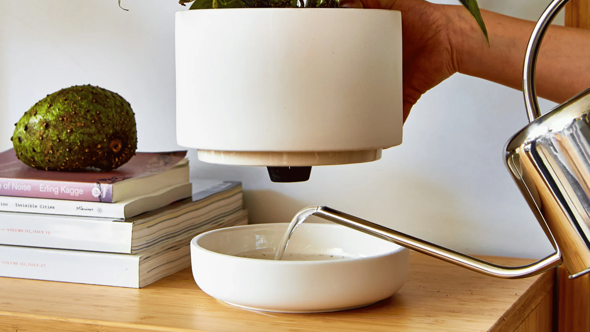 Guide on using a self-watering planter from Greenery Unlimited