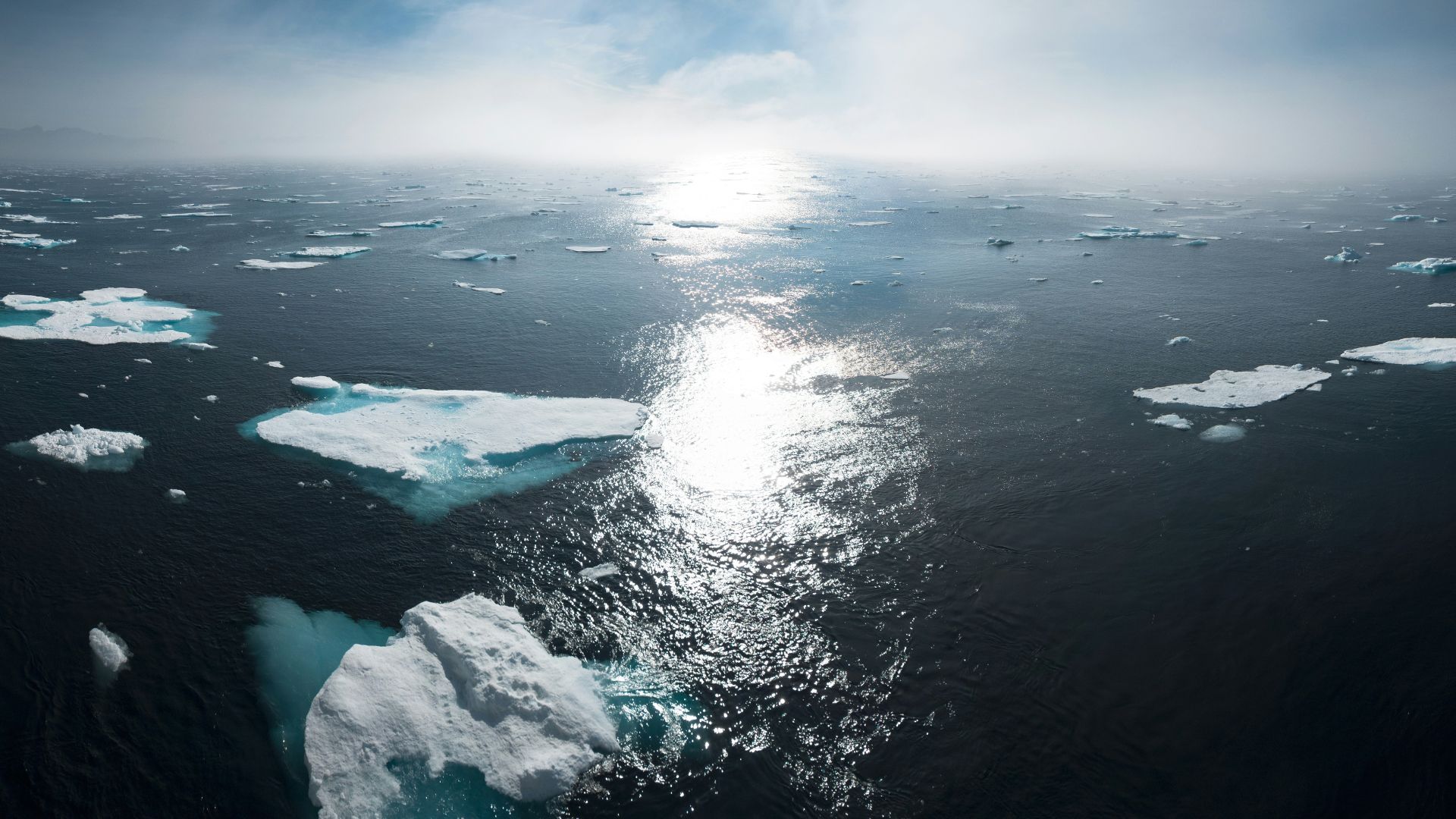 Aerial view of icebergs floating on water during daytime