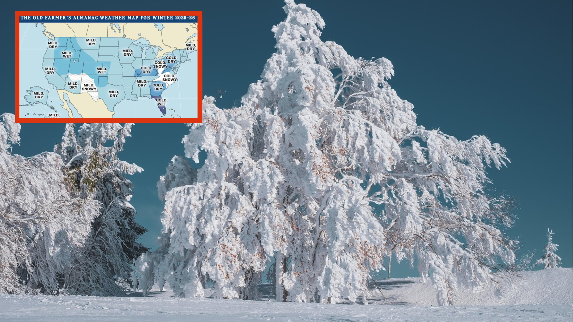 Farmer's Almanac Predicts US Weather For 2025 Winter - Blossom