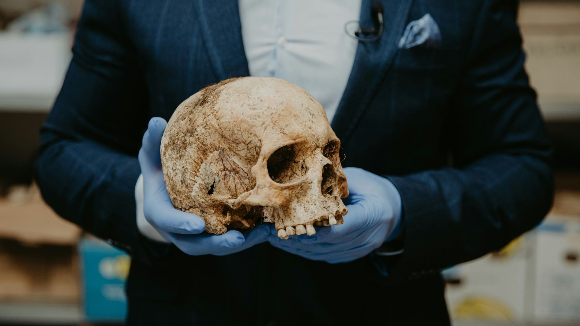 Researcher holding a brown skull while wearing a blue shirt