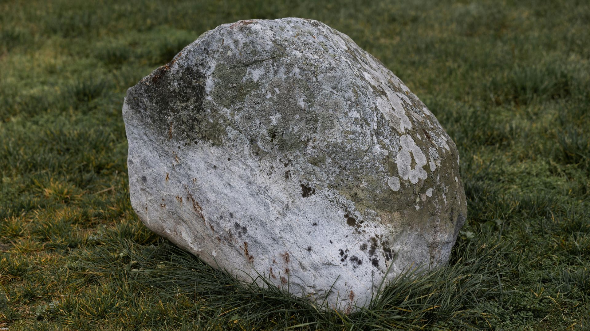 Large spherical rock sitting on green grassy field