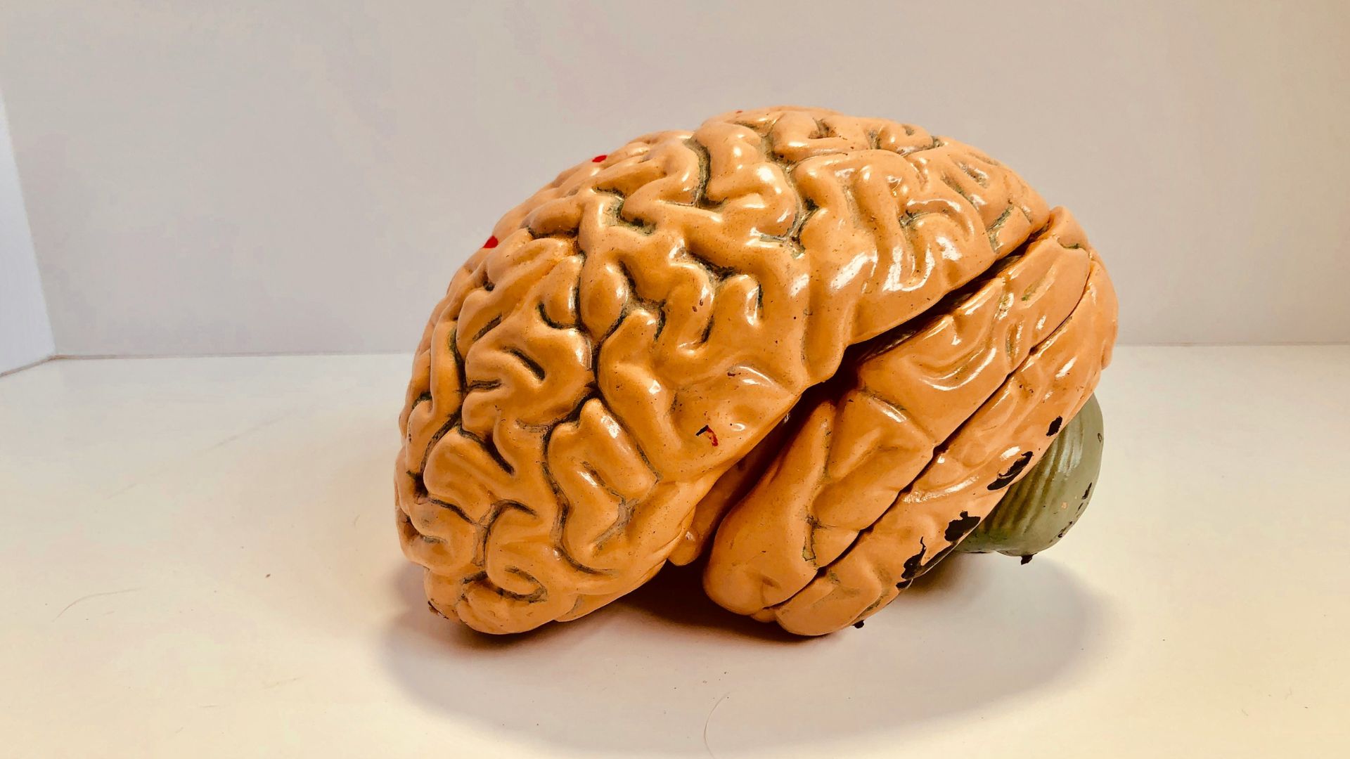 Human brain figurine on a dark background