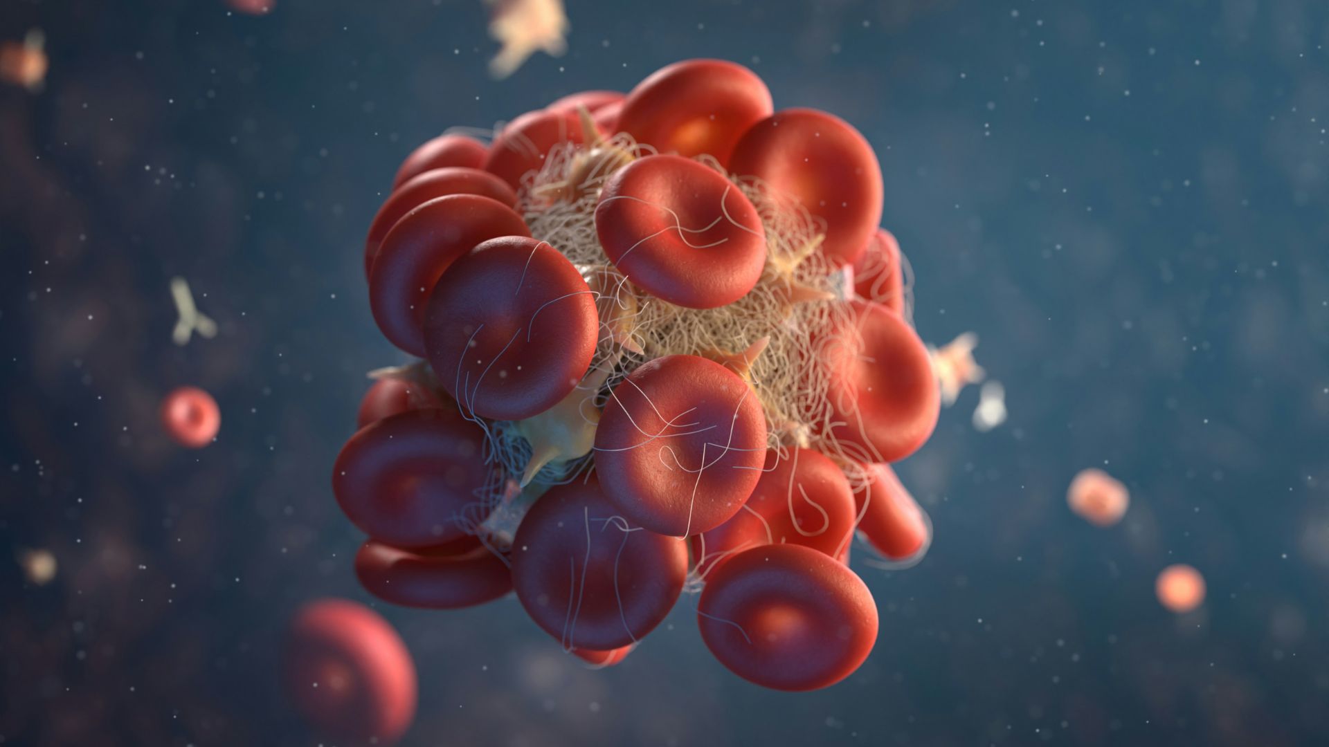 Illustration of a red blood cell inside a blood vessel