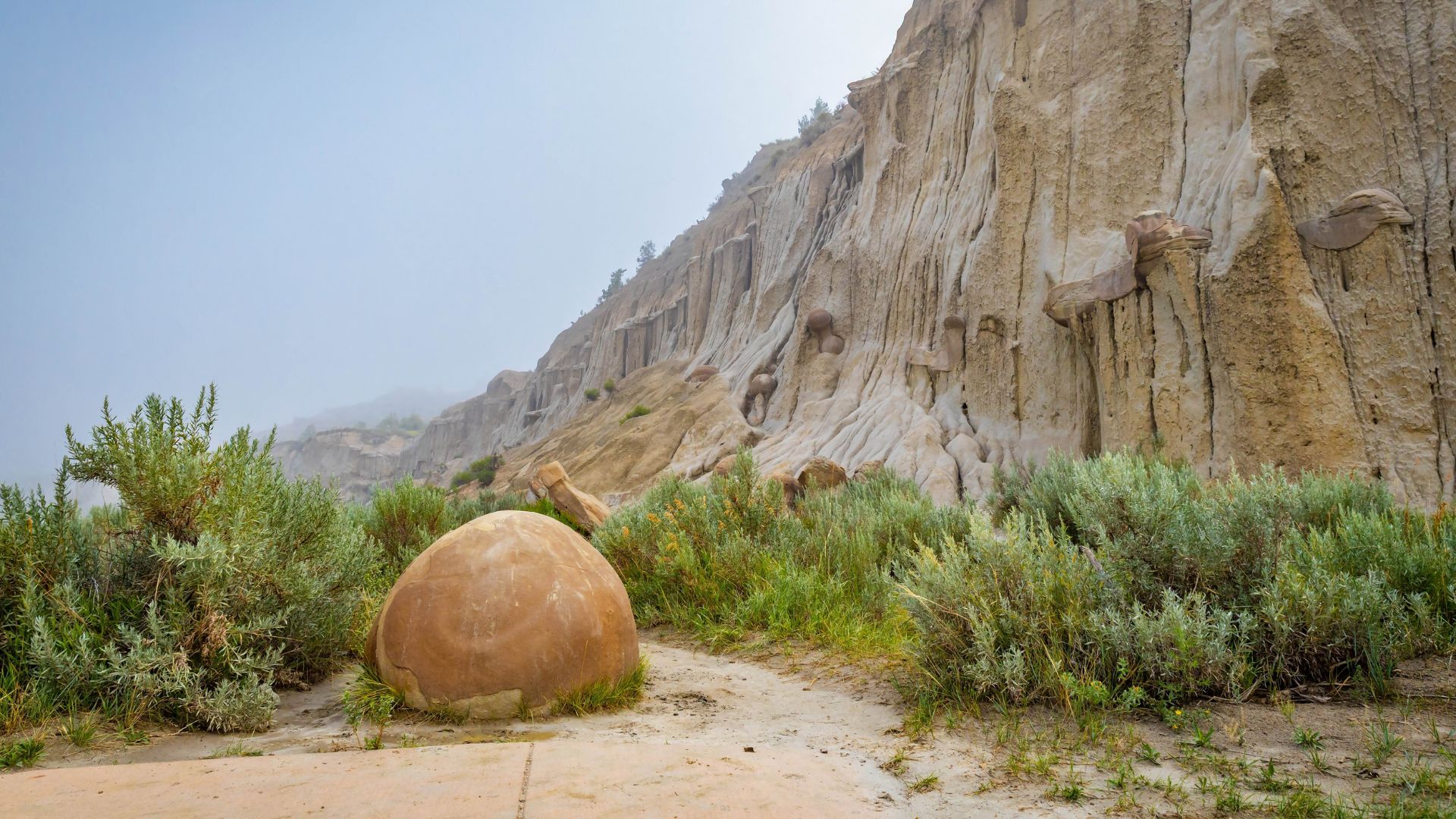 Rounded cannonball concretion resting in natural landscape