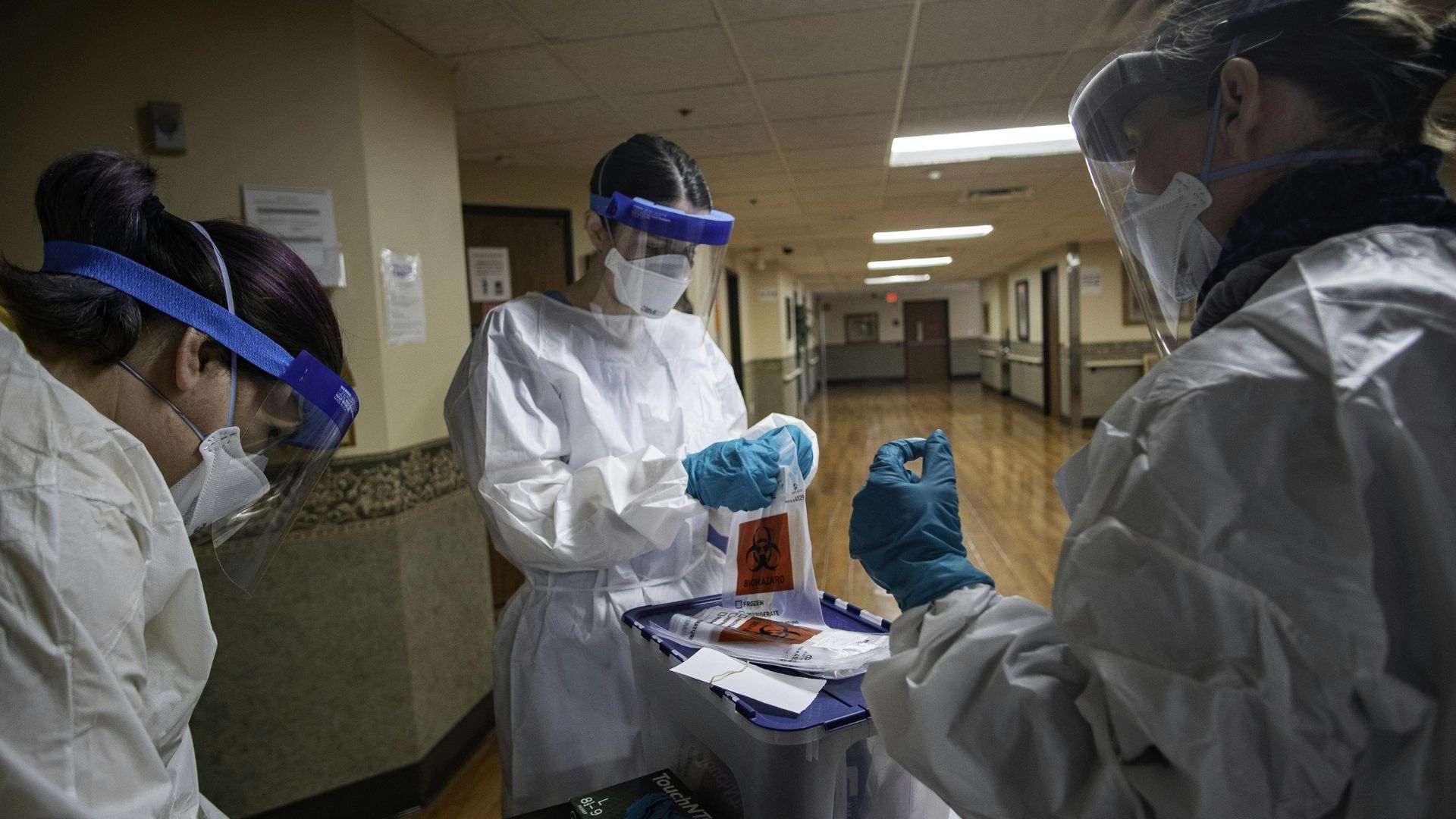 A mosquito standing on a sheet of paper, suggesting reviewing reports or updates on disease spread.