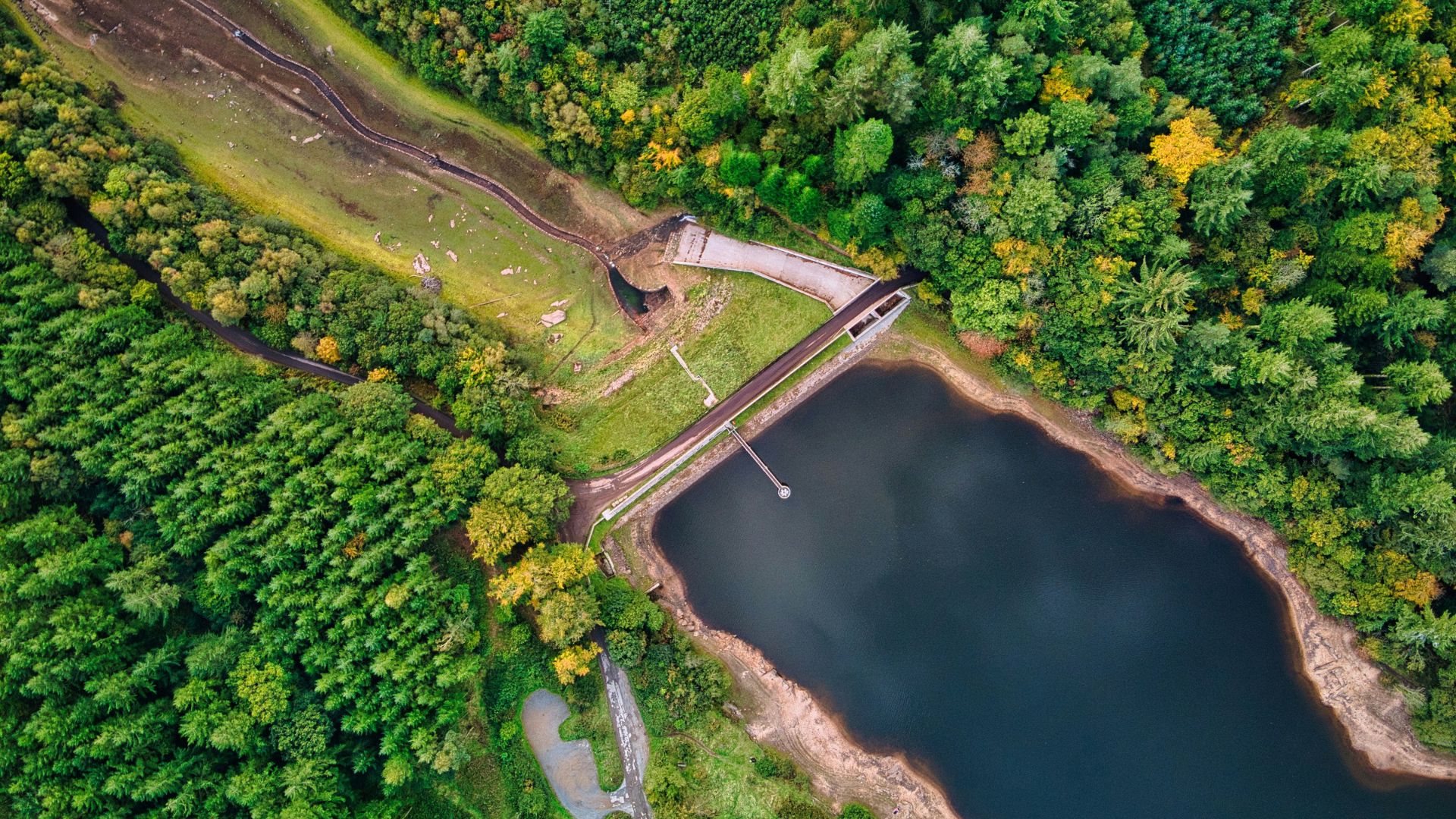 Aerial view of a wide river surrounded by dense green trees during daytime