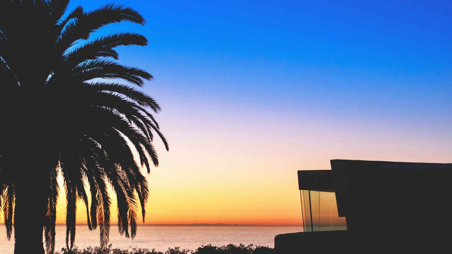 Silhouette of trees overlooking the ocean during sunset