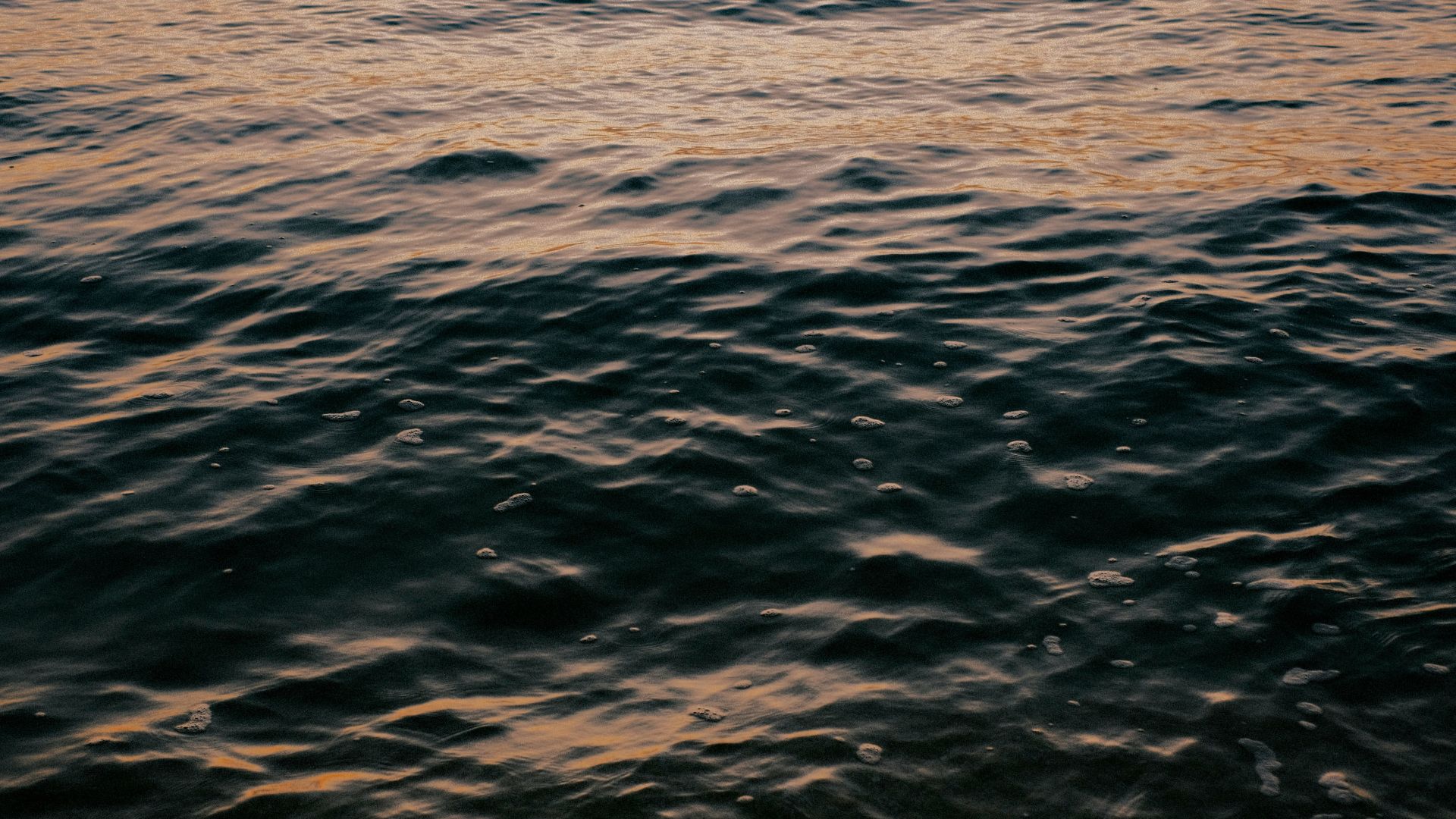 Calm sea surface glows in the sun, with a small boat in the distance beneath a blue sky.