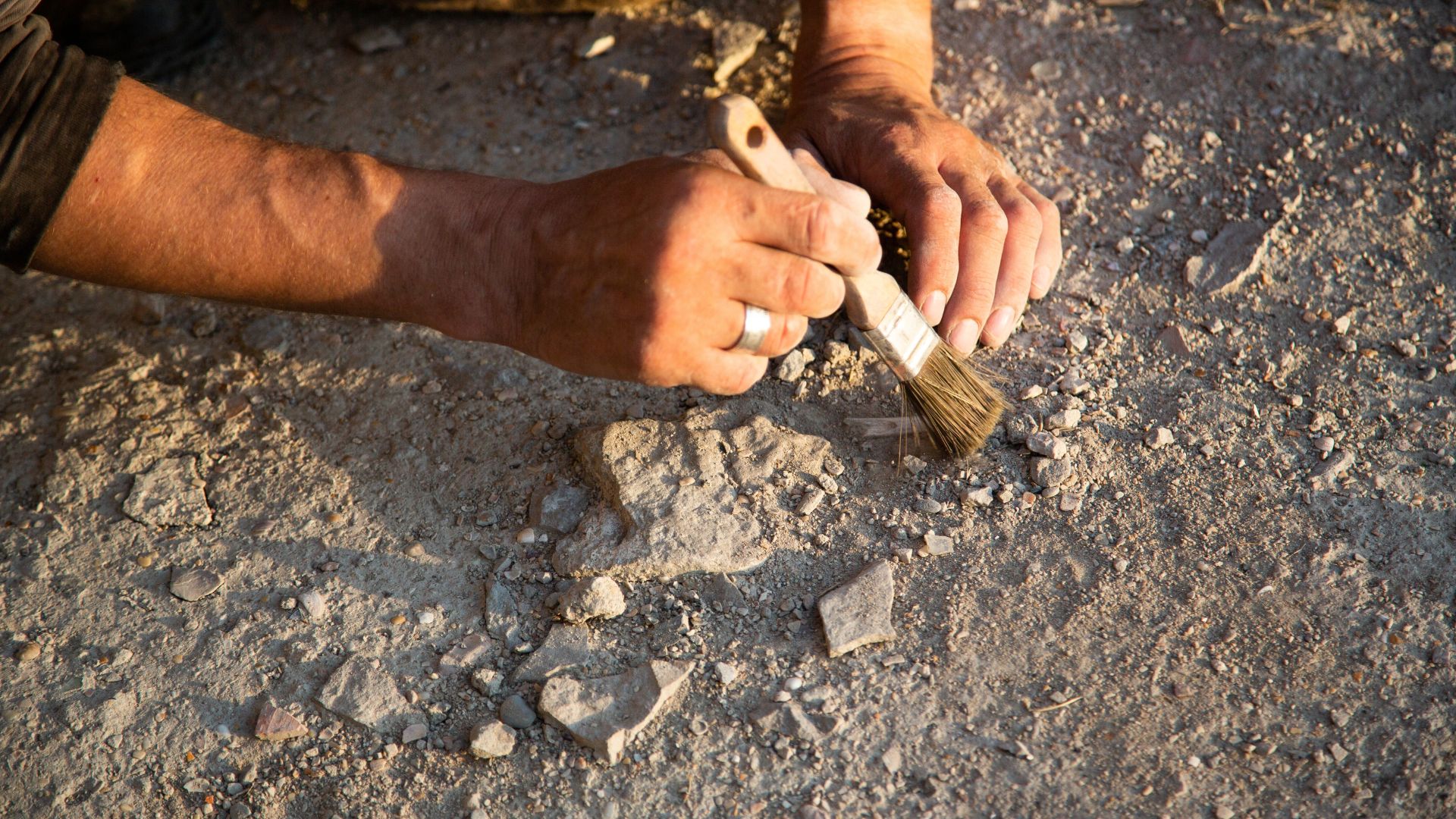 Archaeologist cleaning bones during an excavation