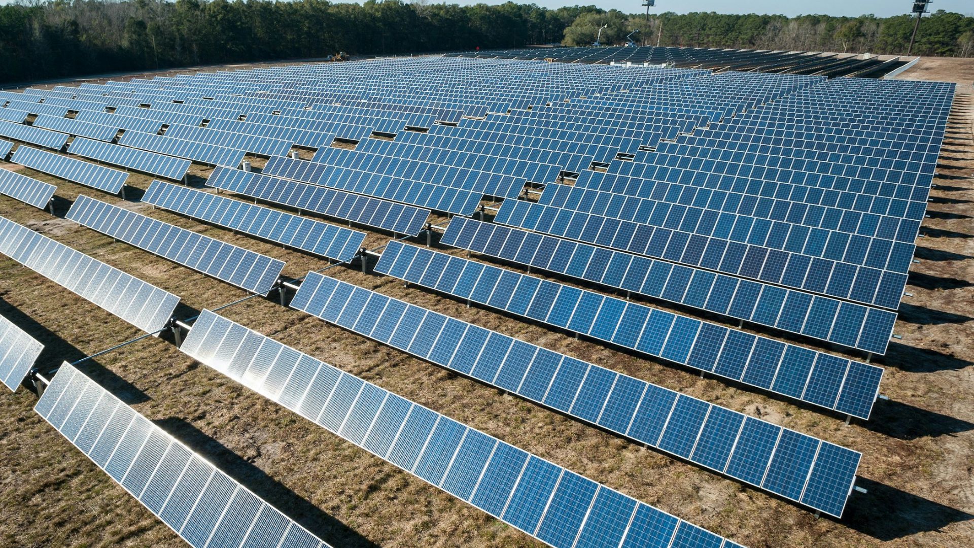 Rows of solar panels set on open ground with sunlight hitting the surface