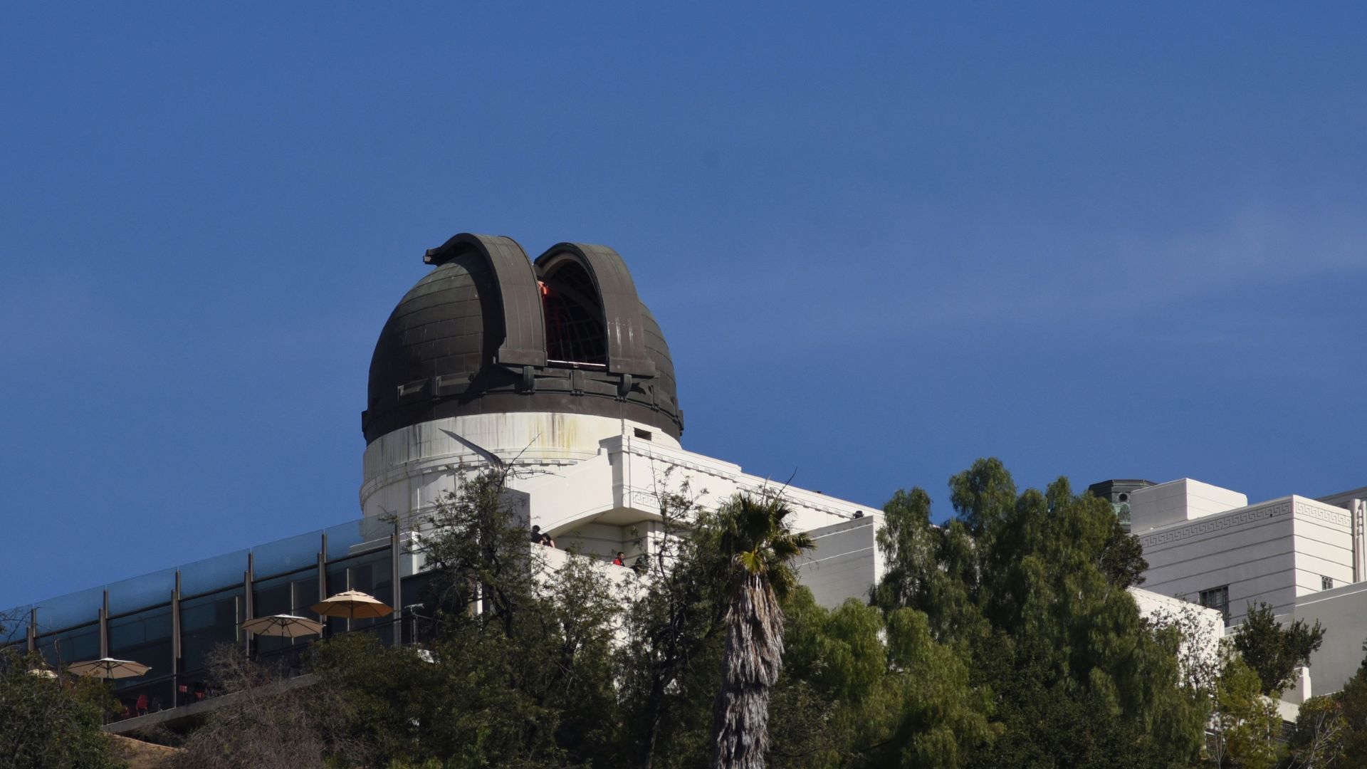 Large observatory telescope dome standing among trees under a dim sky