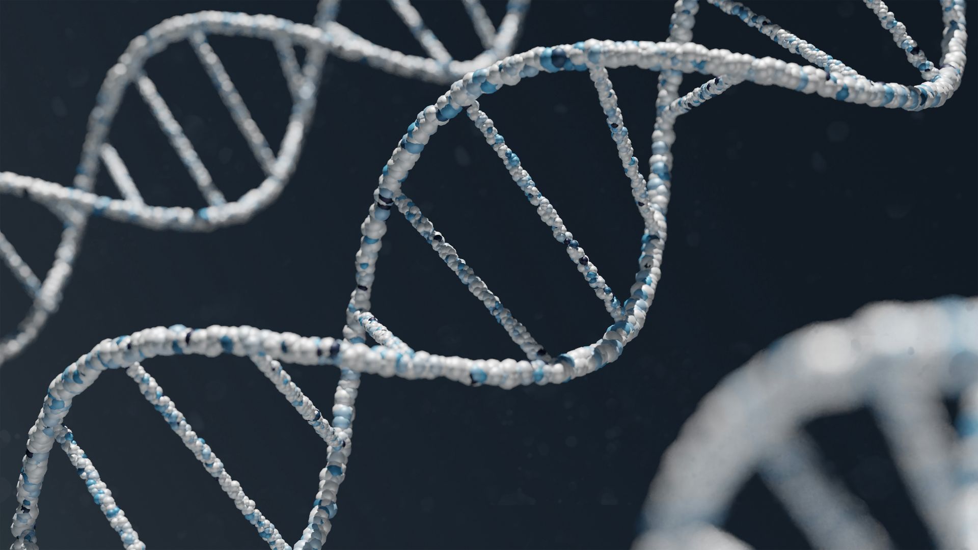 Close-up of a chain-link fence in a laboratory research area