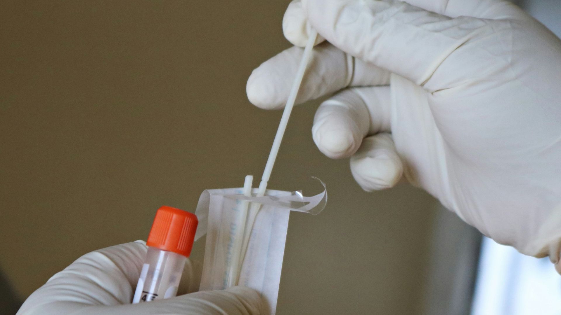 Hand holding cotton swabs used for DNA sample collection.