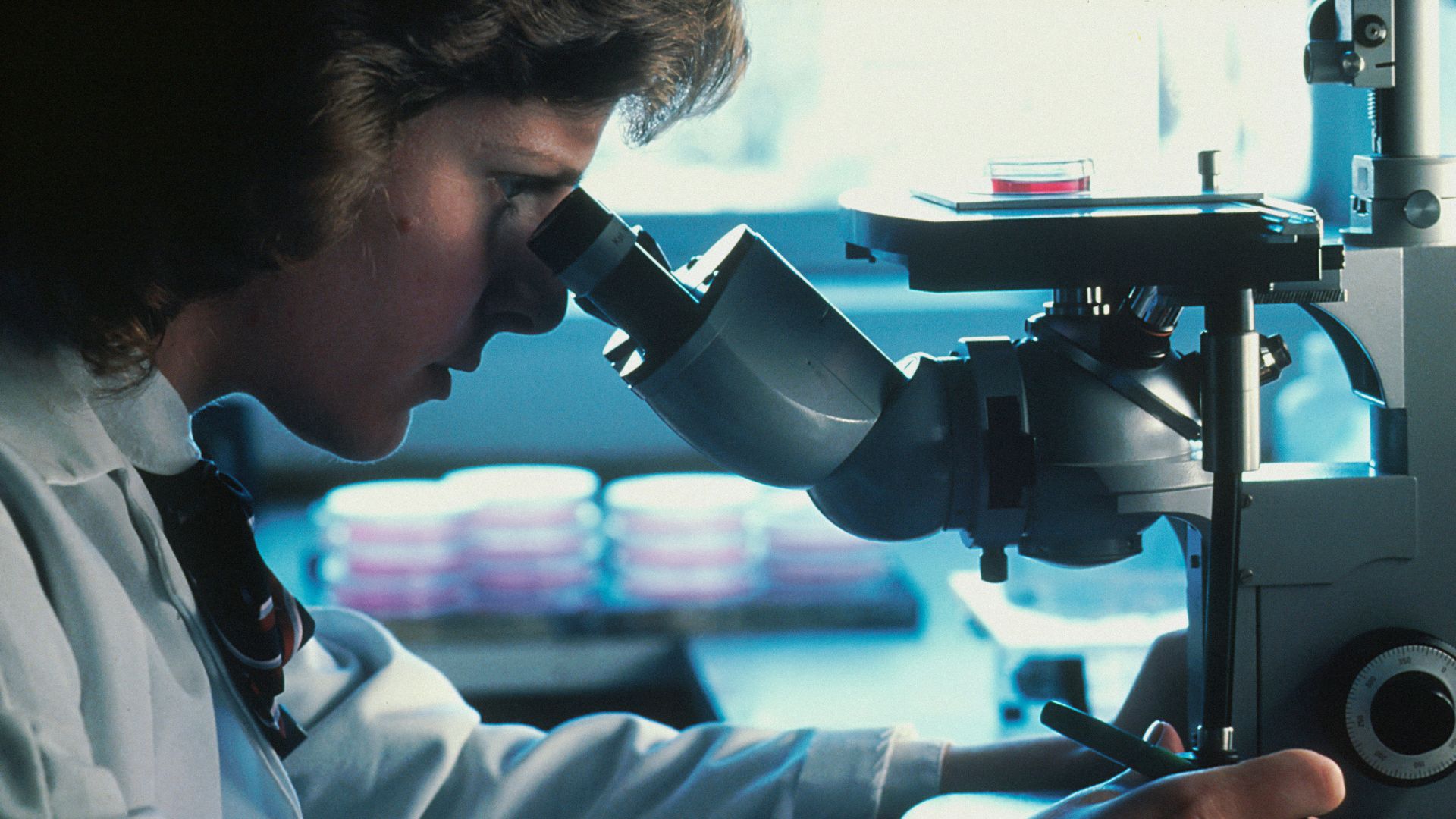 Researcher holding a camera while observing wildlife outdoors