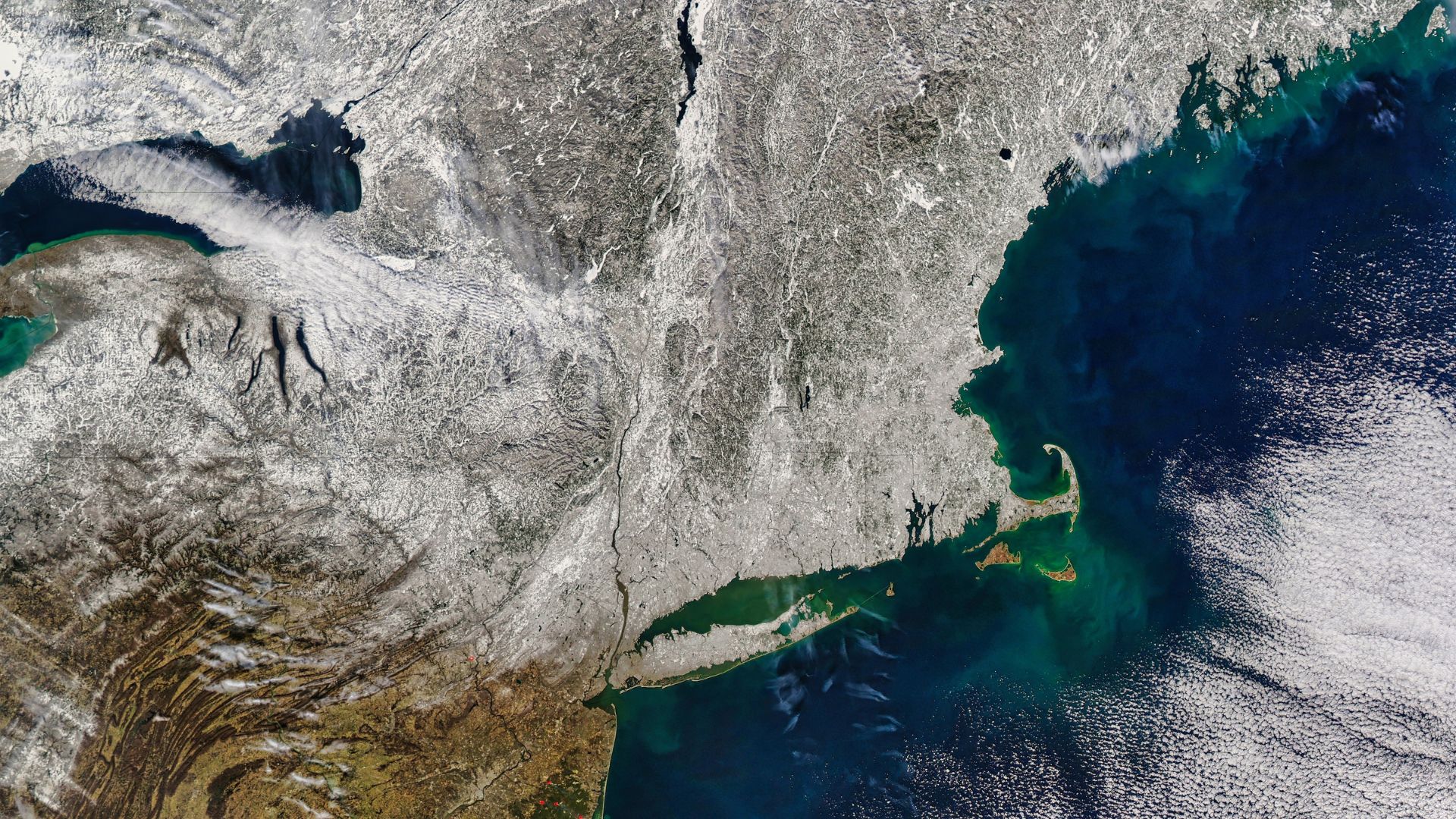 Arctic Blast to Hit the U.S. This Weekend - Blossom