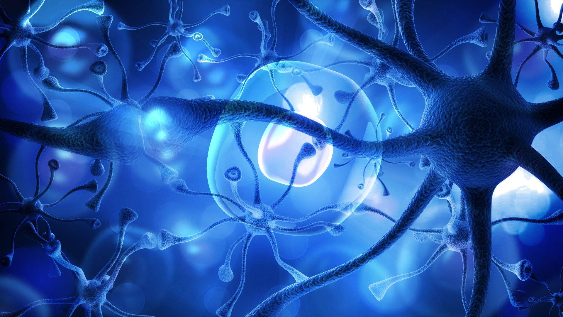 Close-up view of neurons with branching connections