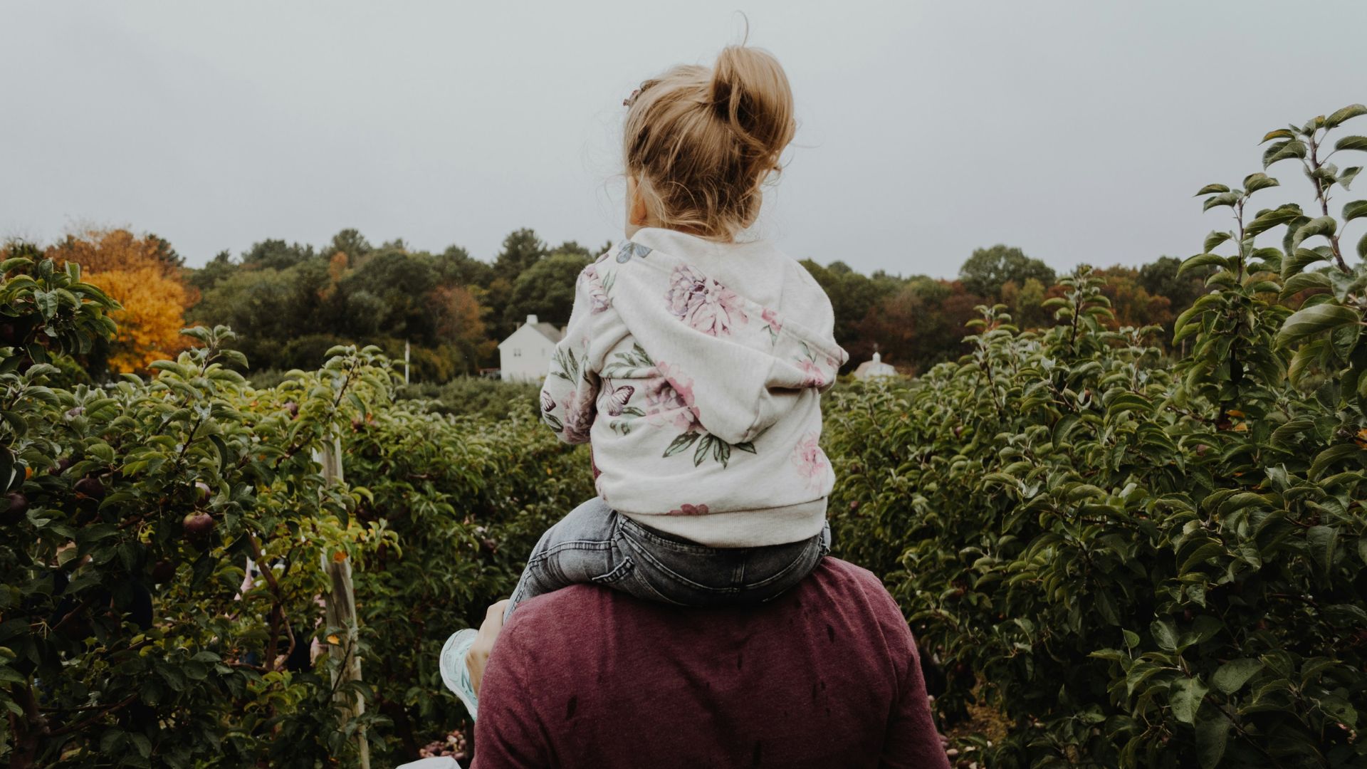 Young girl riding on an adult’s shoulders outdoors