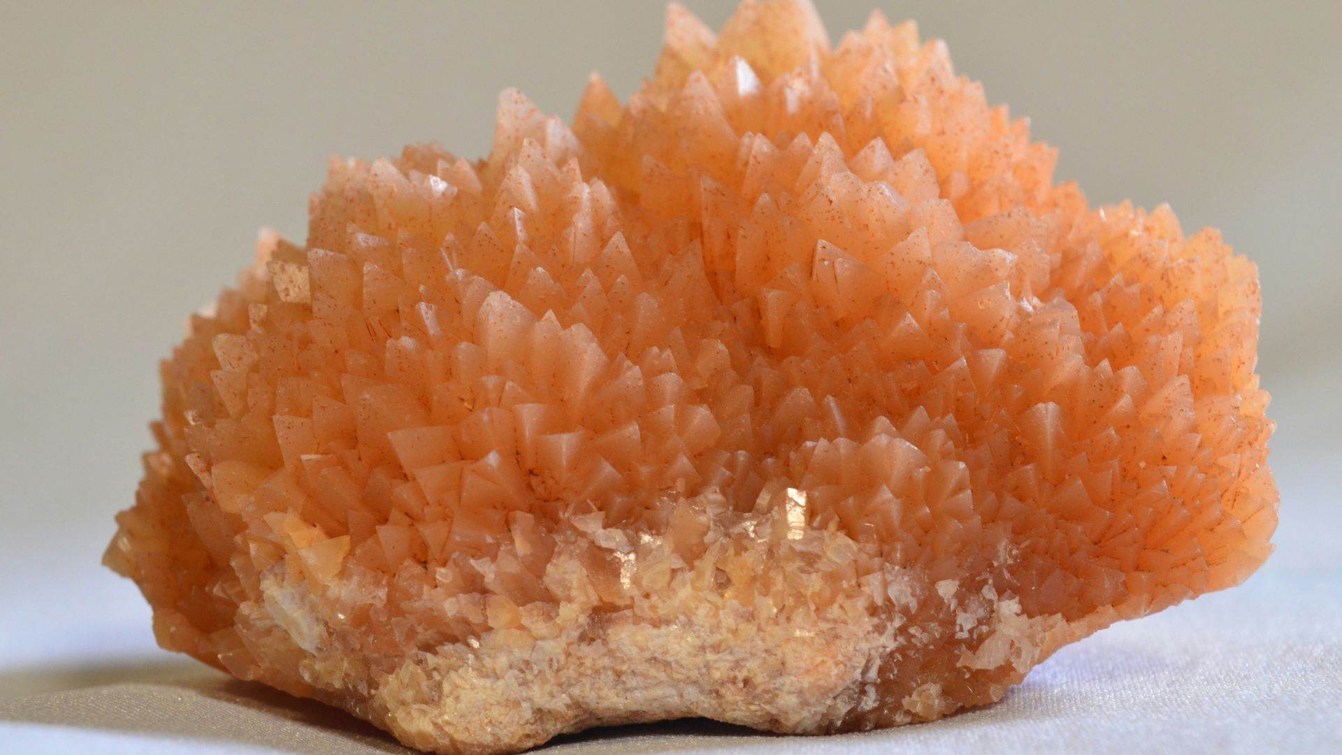 Macro shot of layered orange rock surface showing distinct mineral bands