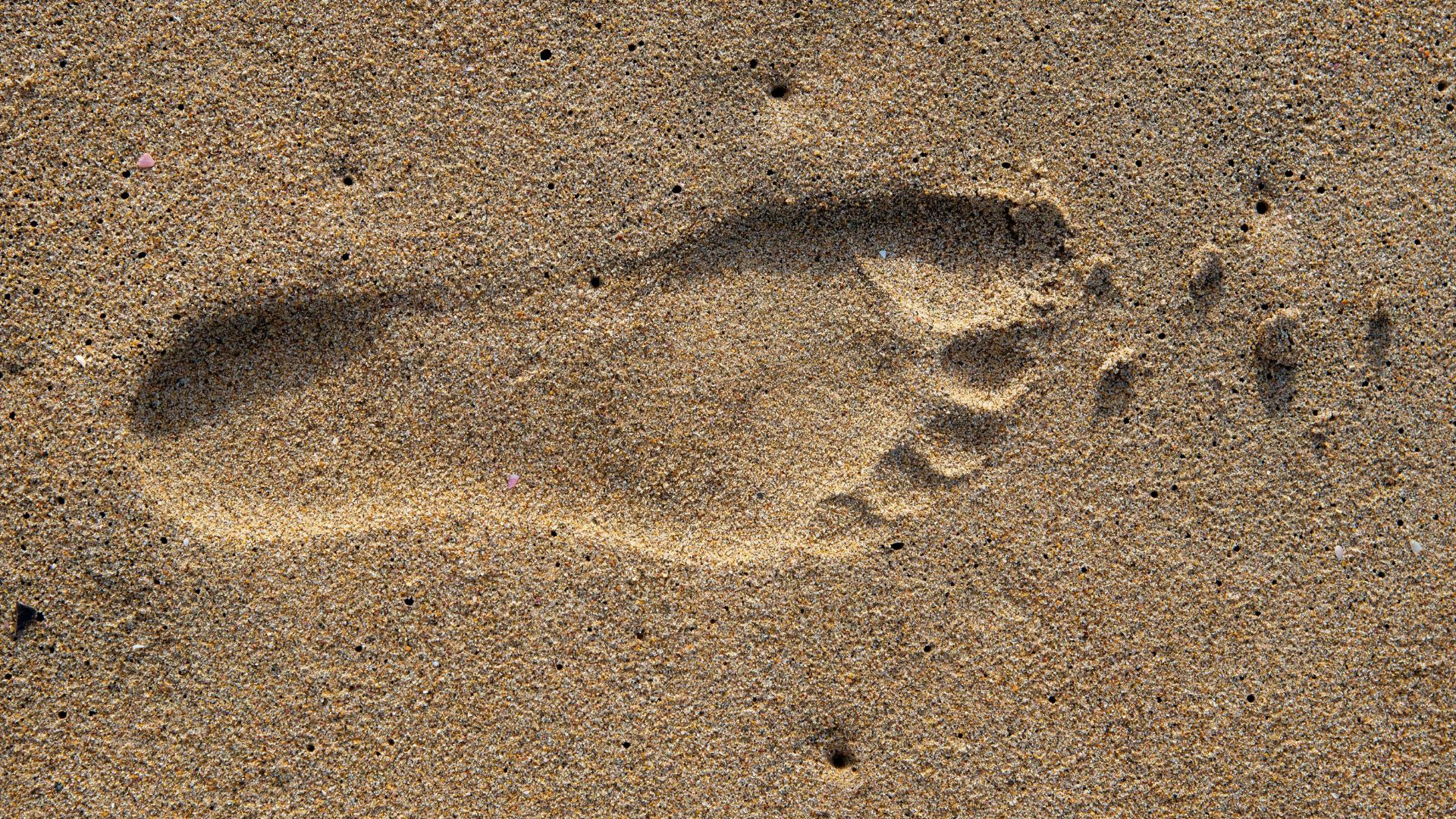 Single human footprint pressed into smooth brown sand