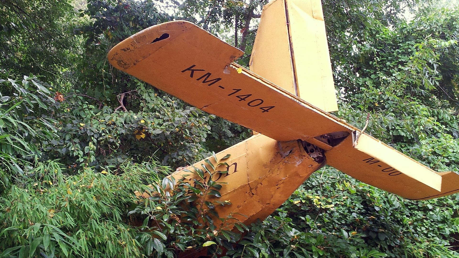 Old aircraft wreck resting in tall grass under a cloudy sky