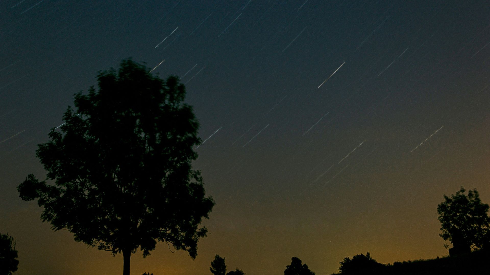 Lone tree set against a bright daytime sky