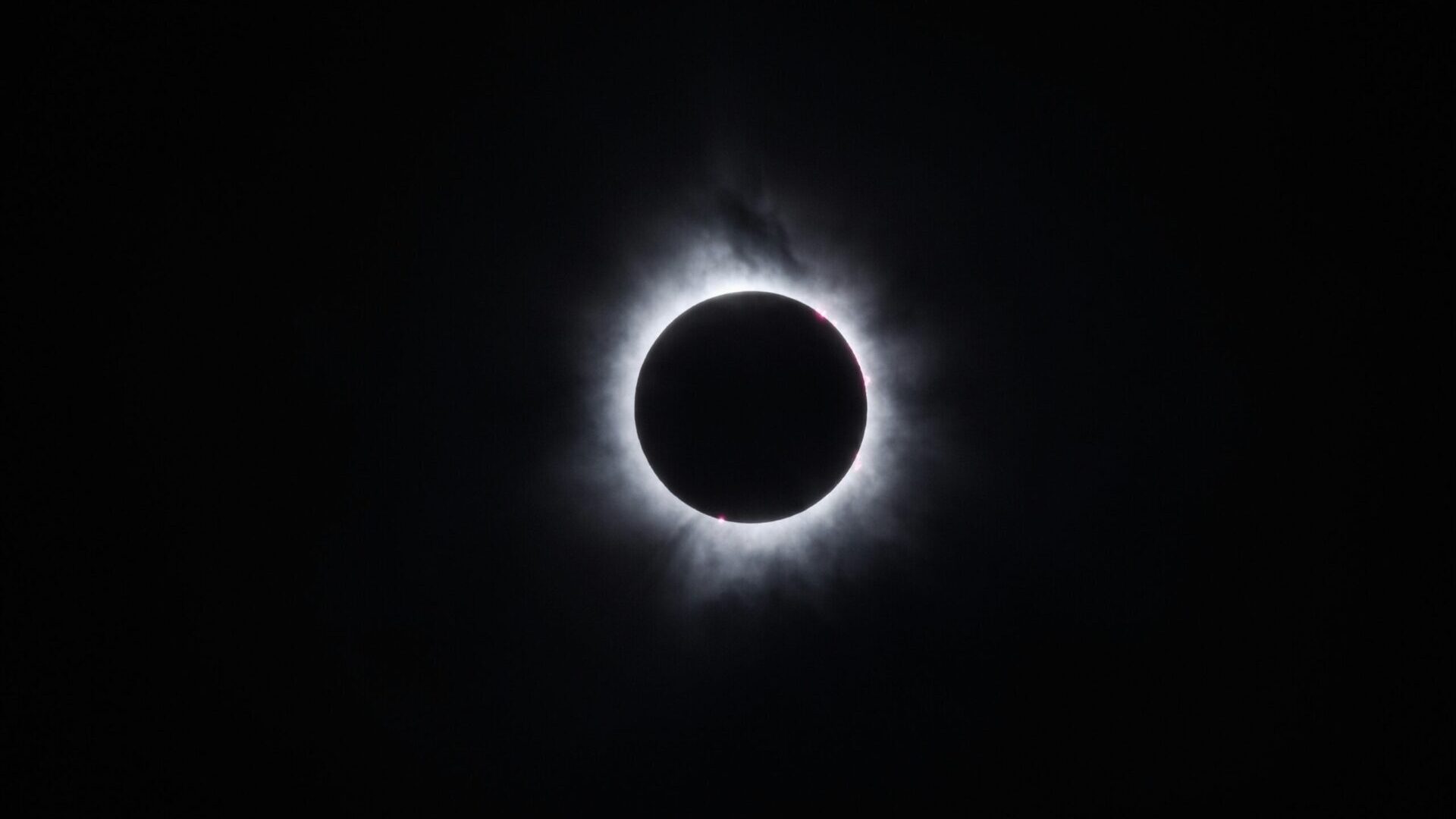 Silhouetted tree branches under a glowing full moon in the night sky.