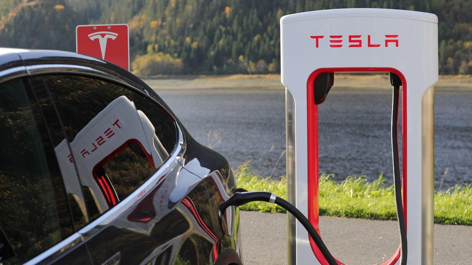 Tesla electronic auto