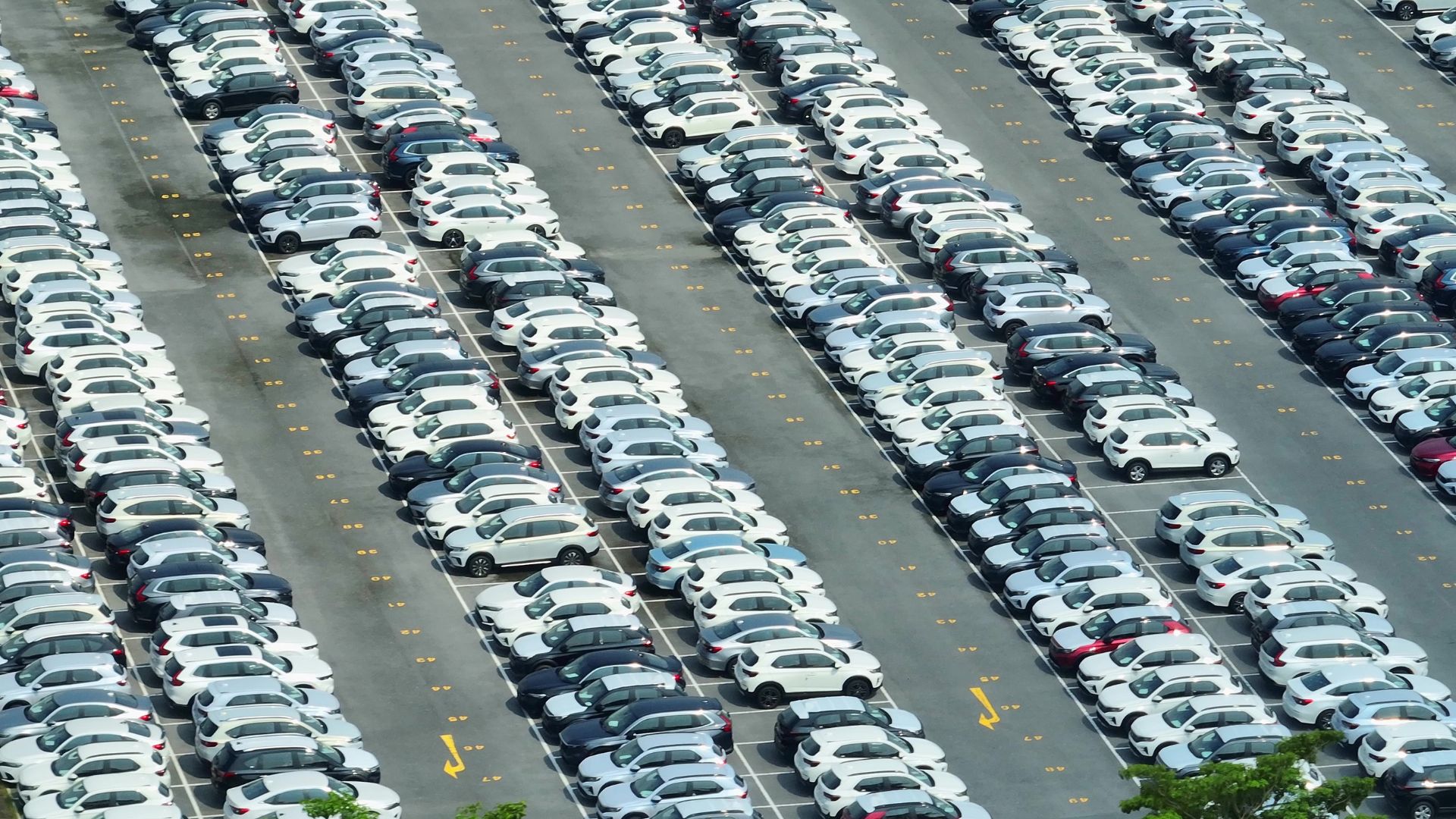 Electric vehicle market