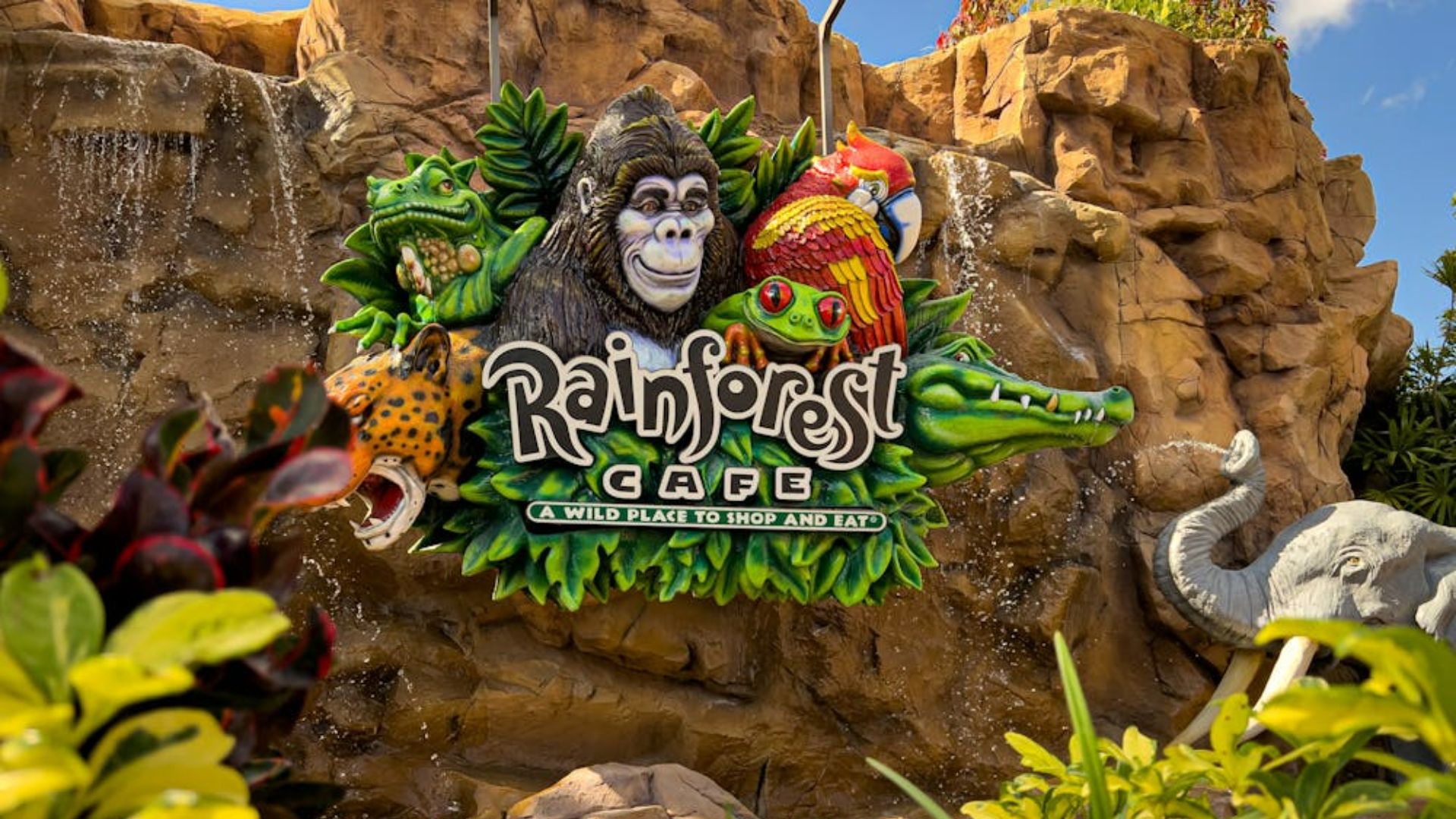 The Rainforest Cafe sign at Disneyland