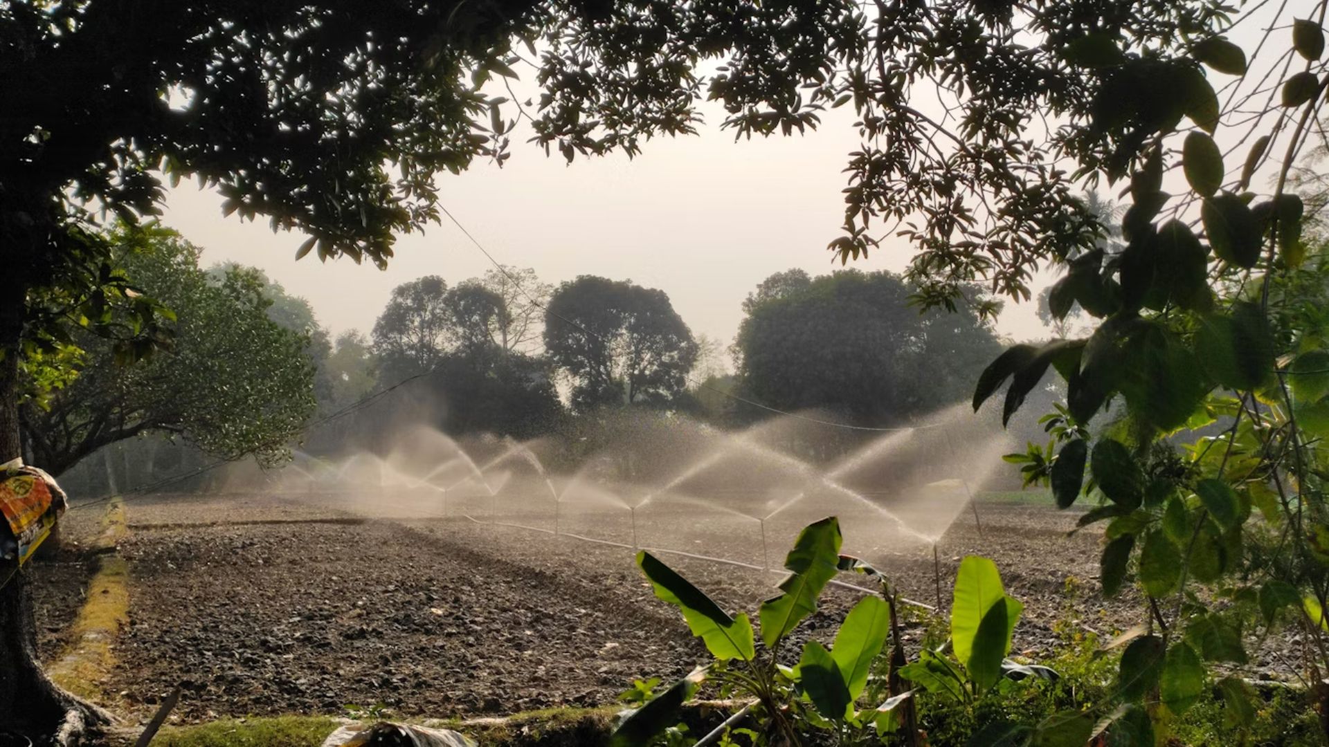 Photo of a farm with sprinklers watering a field